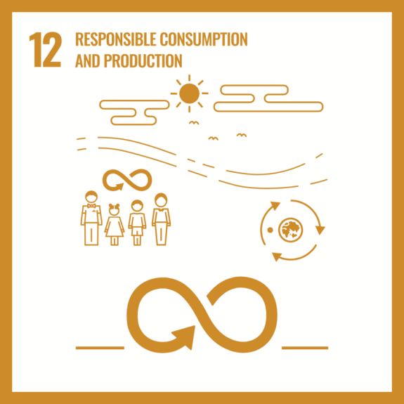 SDG 12