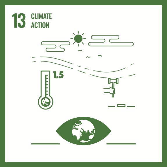 SDG 13