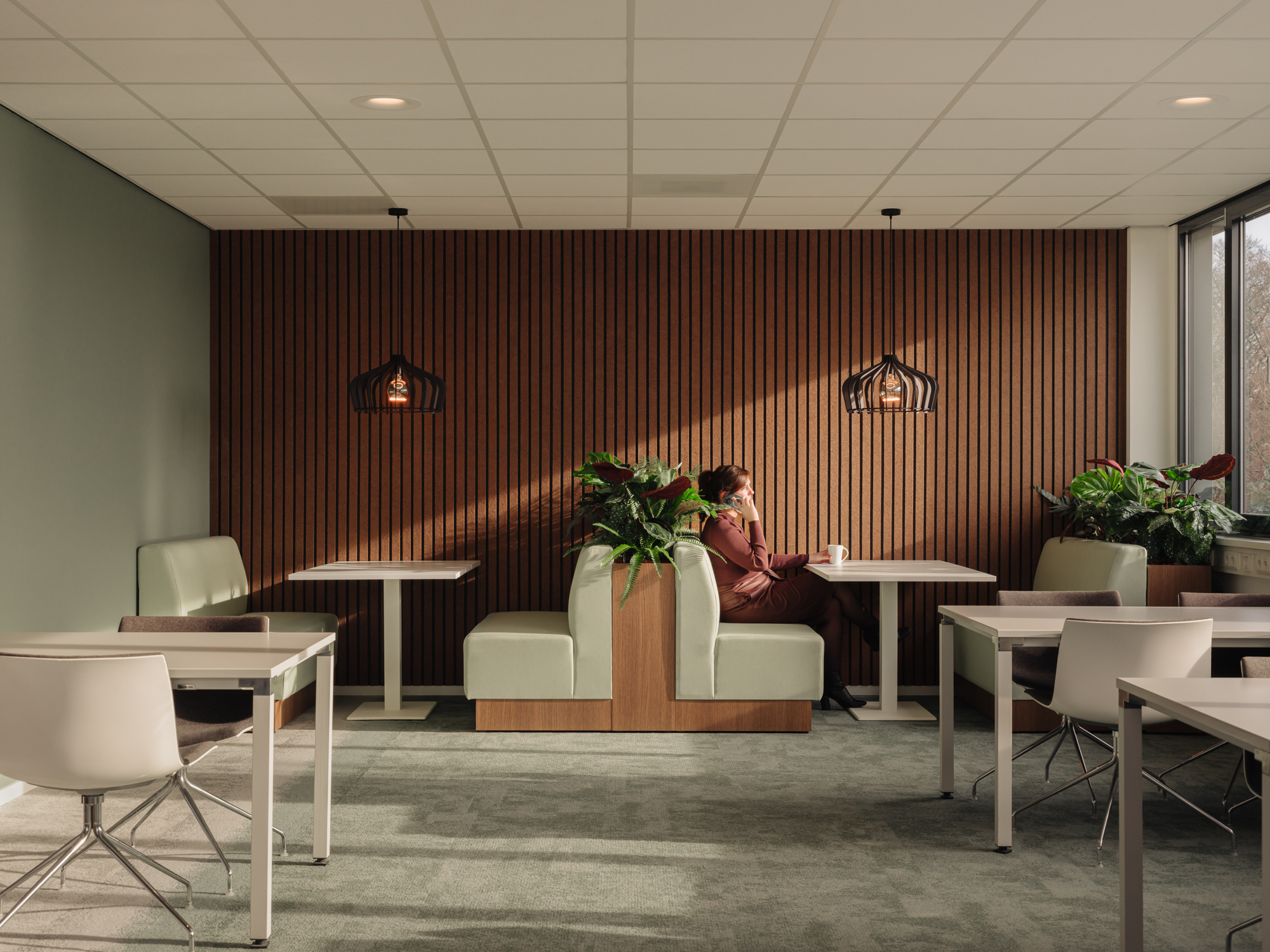 Service image
